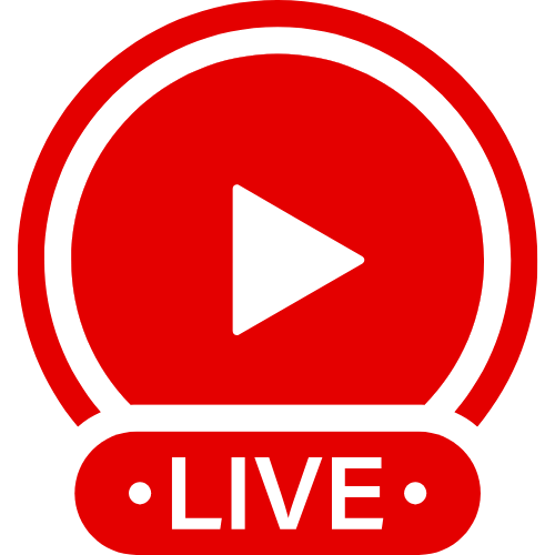 Video Live Hamster | Live Webcam Shows & Interactive Adult Entertainment